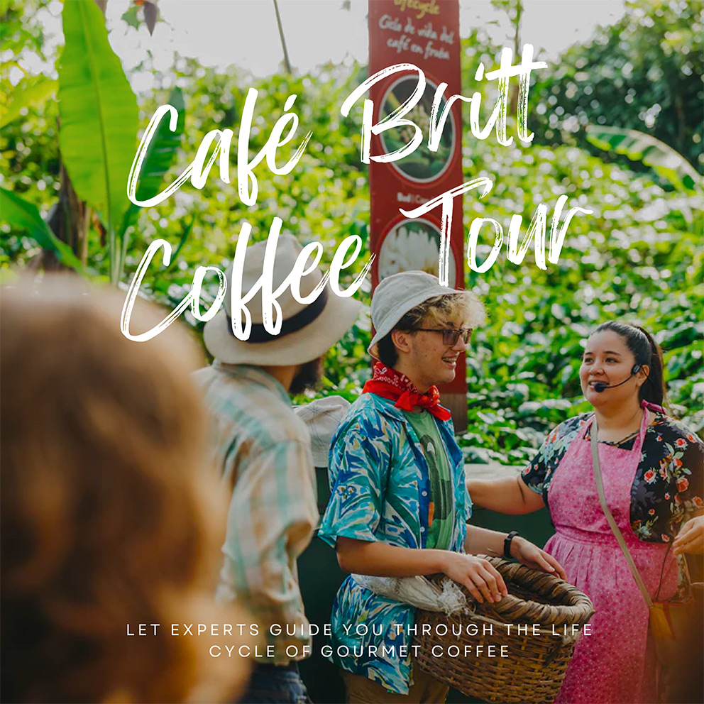 Coffee Tour