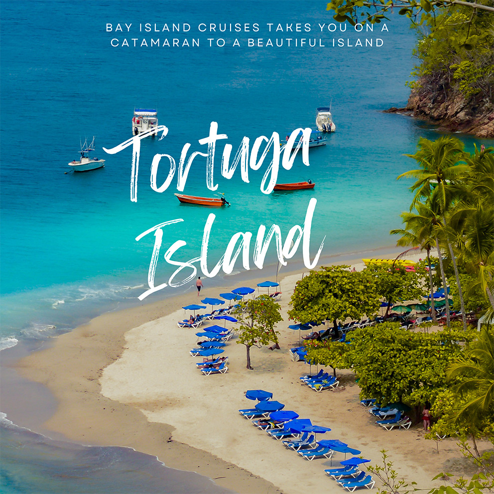 Bay Island's Cruise to Tortuga Island